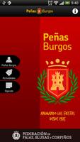 Peñas de Burgos imagem de tela 1