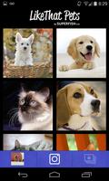 LikeThat Pets: Adopt a Pet پوسٹر