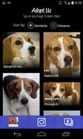 LikeThat Pets: Adopt a Pet ảnh chụp màn hình 1