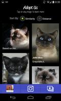 LikeThat Pets: Adopt a Pet Screenshot 3