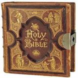 Holy Bible(Multilanguage)