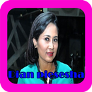 Lagu Dian Piesesha Full Album APK