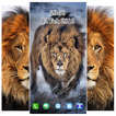 Best Wallpaper 3D For Lion