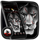 Thème Lion Noir APK