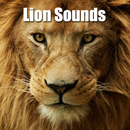 Lion Sounds APK