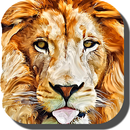 Lion Wallpapers – Animal Pics APK