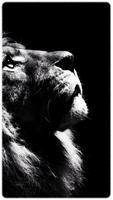 HD impressive Lion Wallpapers - 2018 captura de pantalla 2