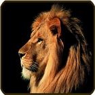 Lion Wallpaper icono