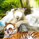 Lion & Tiger Photo Editor APK