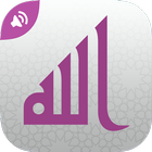 Asma Allah al-Husna | 99 Names icon