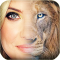 Lion Face Morphing