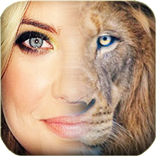 Lion Face Morphing