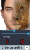 Lion Face Morphing screenshot 3