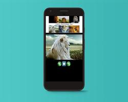 Lion Pictures HD screenshot 3