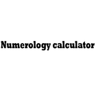 NUMEROLOGY CALCULATOR icône