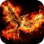 The Mockingjay App