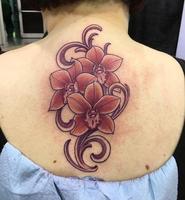 Orchids Tattoo 截圖 1