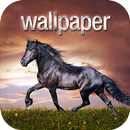 Horse Wallpapers & Backgrounds aplikacja
