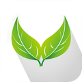 Natural Home Cure Remedy Herbs