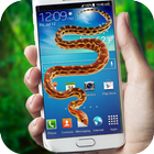 Snake in Screen Prank icon