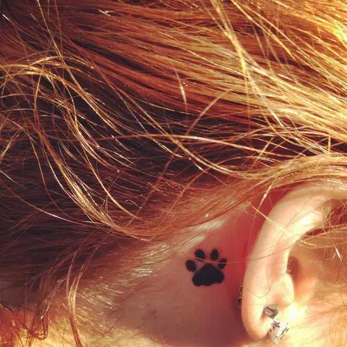 Paw Print Tattoos APK for Android Download