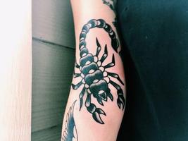 Scorpion Tattoos الملصق