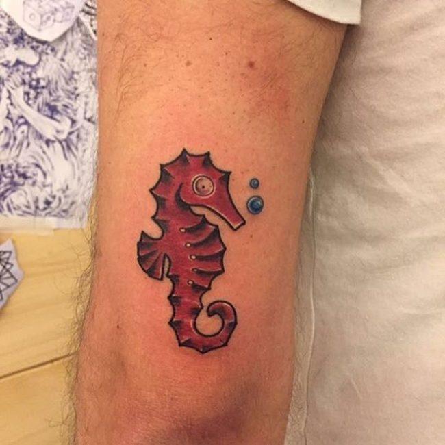 Seahorse Tattoo APK for Android Download Seahorse Tattoo APK for Android Download