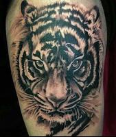 Tiger Tattoo capture d'écran 1