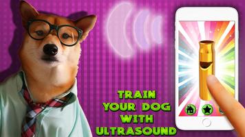 Dog Whistle ultrasonic Affiche