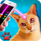 Laser pointer. cats
