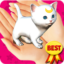 Virtual pet kitten camera 3D APK