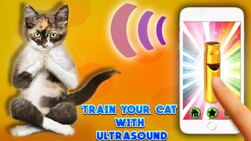 Ultrasound Cat Whistle Affiche