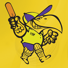 Lilydale Cricket Club icône