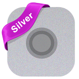 Assistive Touch Silver