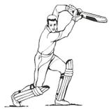 Lina Sports Cricket