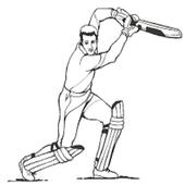 Lina Sports Cricket biểu tượng