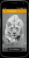 Lion Wallpaper capture d'écran 2