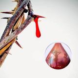 Sangre de Cristo simgesi