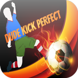 Dude Kick Perfect