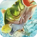 Tips Of Fishing Clash - Catch Rare Fish APK