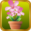 APK Mini Garden
