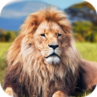 Angry Lion Attack Simulator 3D biểu tượng
