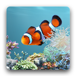 Ocean Fish HD Live Theme