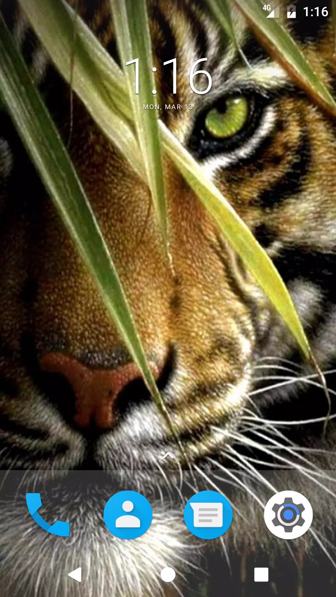 3D Tiger HD Wallpapers APK pour Android Télécharger 3D Tiger HD Wallpapers APK pour Android Télécharger