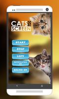 Cat Walks on Phone Screen: Funny Animation capture d'écran 1
