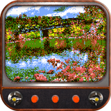 Pixelmate: Retro Pixel Effects icône