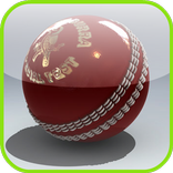 Free Cricket Games