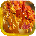 Gold of Autumn Forest HD LWP