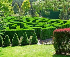 3 Schermata del giardino botanico