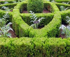 conception de jardin botanique Affiche